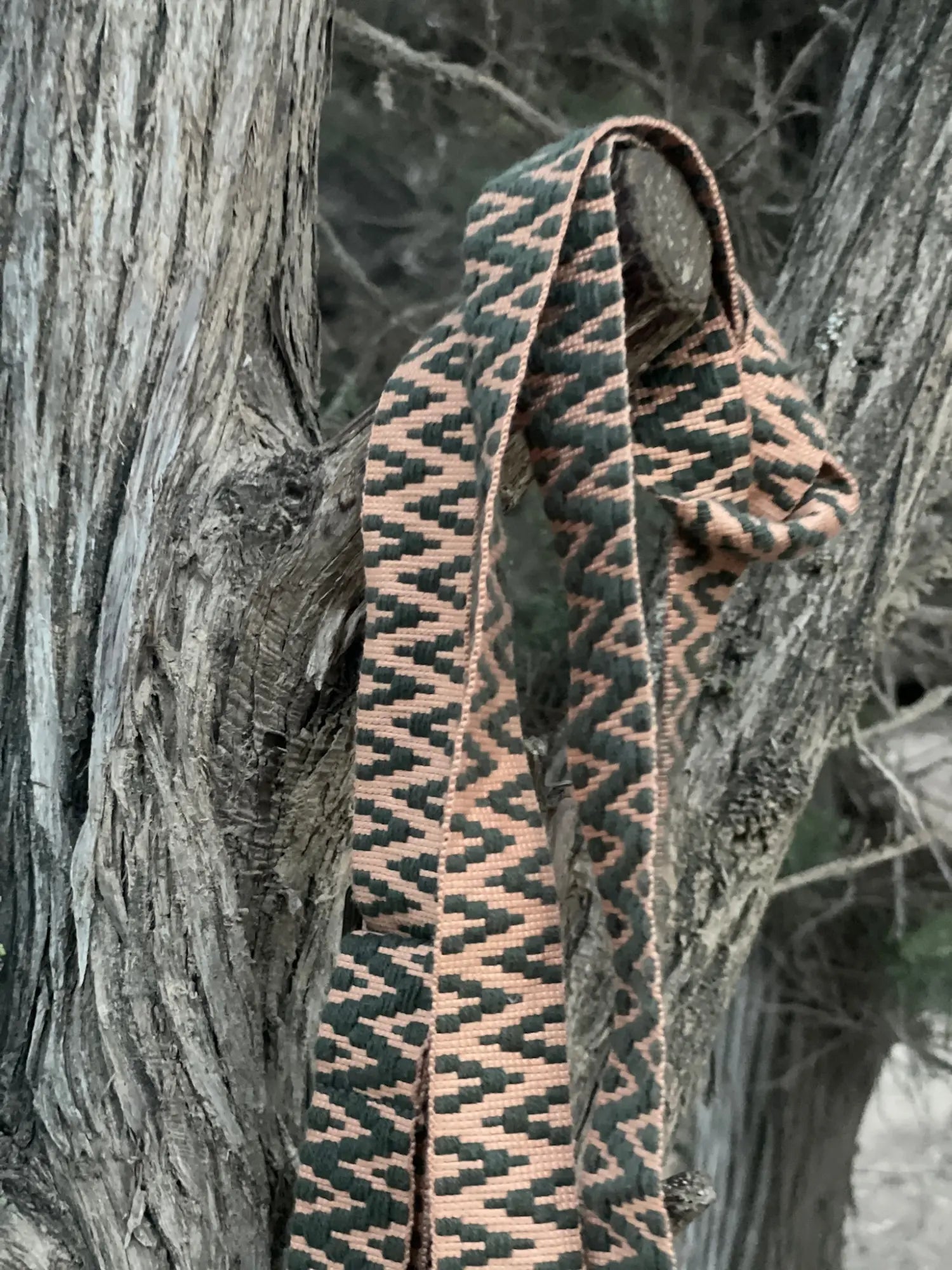 Style Bundle zum Wechseln aus 2 Handybänder + Handyhülle | Midnight Star & Thyme to Shine